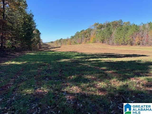 County Road 823 Unit 109Ac, Wadley AL, 36274 land for sale