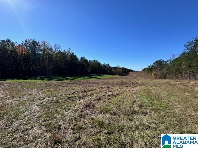 Listing photo 2 for County Road 823 Unit 109Ac, Wadley AL 36274