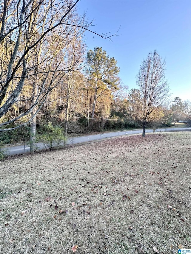 view of yard with a water view