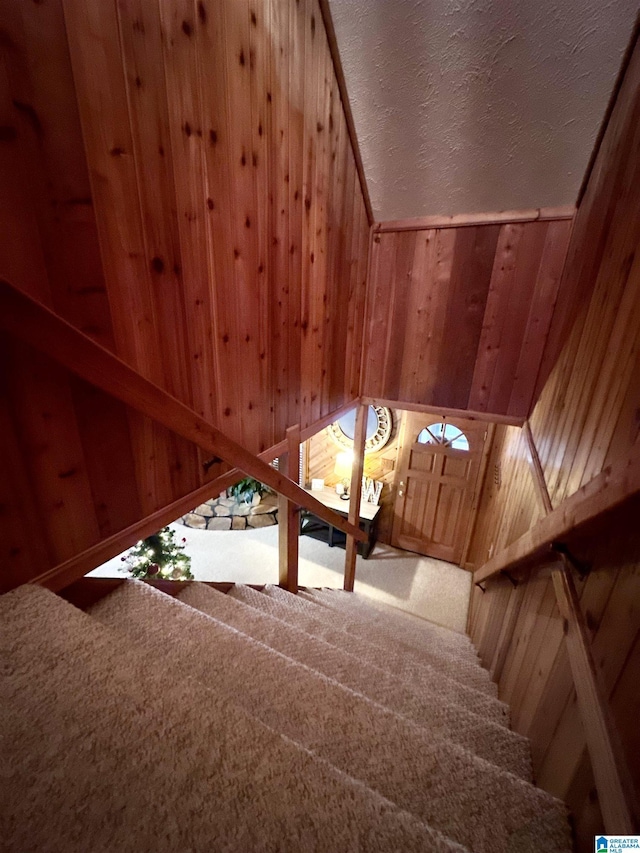 interior space with wood walls and carpet floors