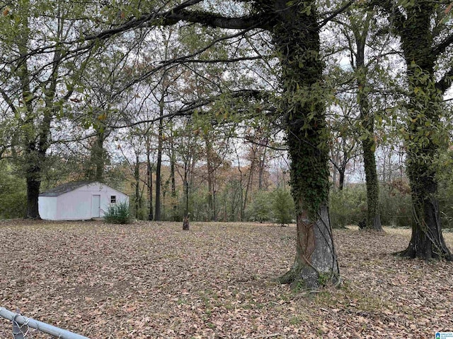 view of yard featuring an outbuilding