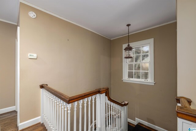 stairway with crown molding and hardwood / wood-style floors