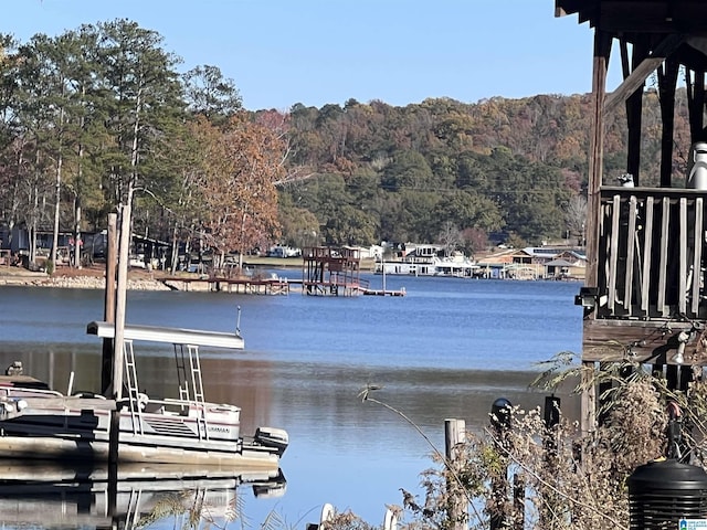 00 Coosa Island Rd Unit 23And 24, Cropwell AL, 35054 land for sale