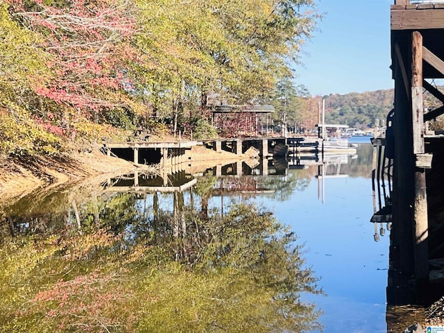 Listing photo 3 for 00 Coosa Island Rd Unit 23And 24, Cropwell AL 35054