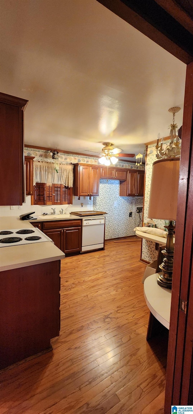 kitchen with ceiling fan, light wood-type flooring, white appliances, and sink