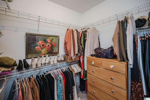 spacious closet featuring carpet floors