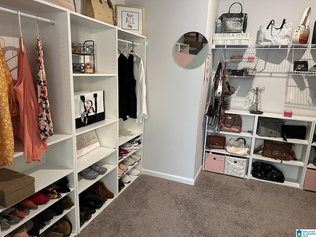 spacious closet with carpet