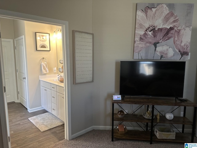 interior space featuring vanity and hardwood / wood-style flooring