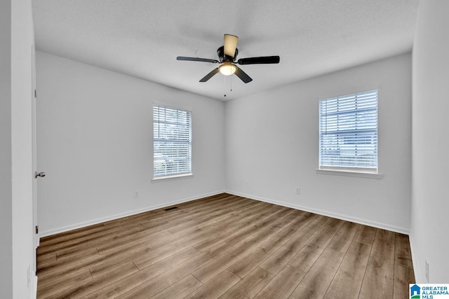 empty room featuring plenty of natural light, light hardwood / wood-style floors, and a textured ceiling