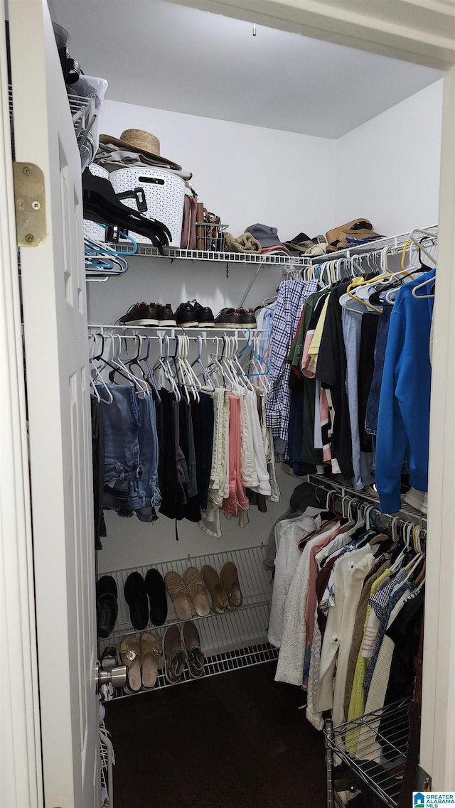 view of walk in closet