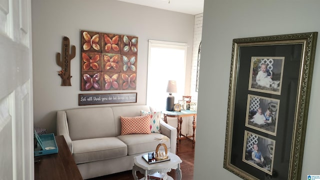 living room featuring hardwood / wood-style floors