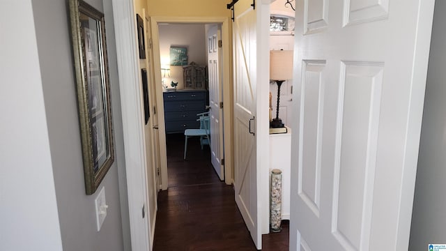 hallway with a barn door and dark hardwood / wood-style flooring