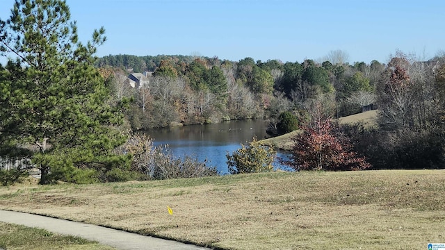 view of water feature