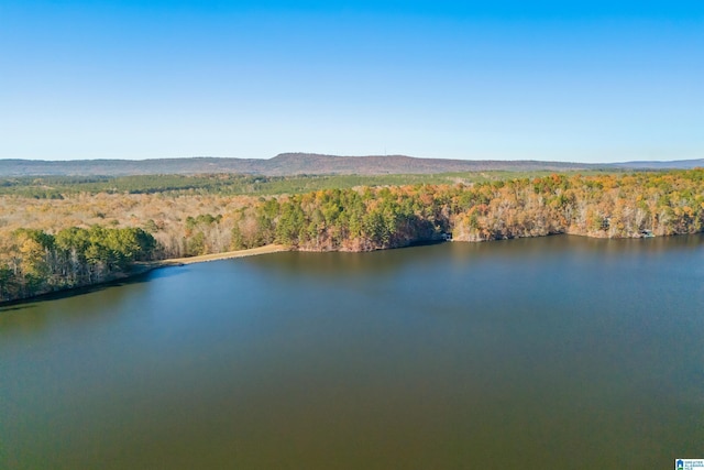 property view of water