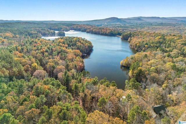 bird's eye view featuring a water and mountain view