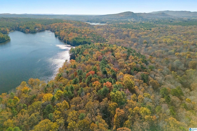 birds eye view of property featuring a water and mountain view