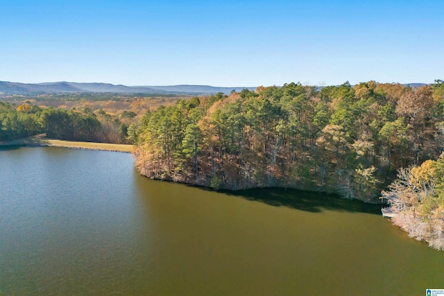 bird's eye view with a water and mountain view