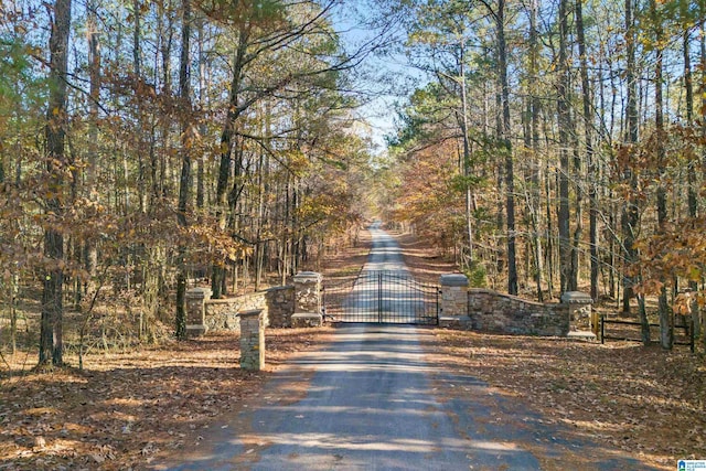 view of road