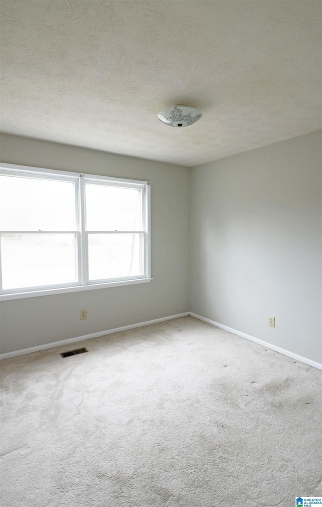 spare room with light carpet and a textured ceiling