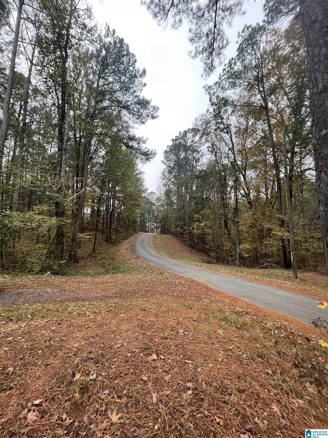 0 Coosa Rd Unit 170, Titus AL, 36080 land for sale