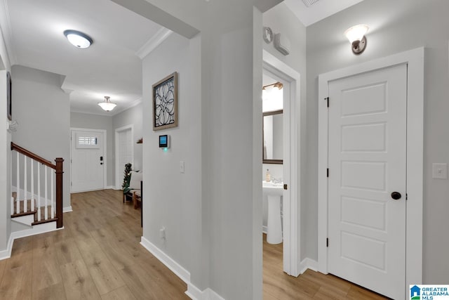 foyer entrance featuring light hardwood / wood-style floors and crown molding