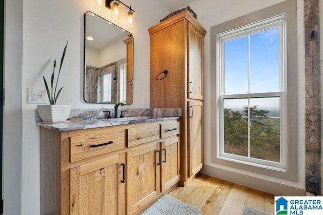 bathroom with hardwood / wood-style flooring and vanity