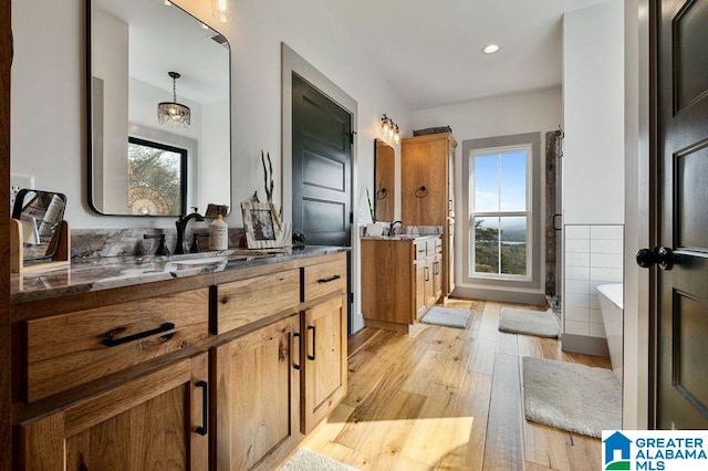 bathroom with a tub, hardwood / wood-style floors, and vanity