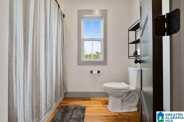 bathroom with wood-type flooring and toilet