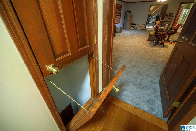 hallway featuring light carpet