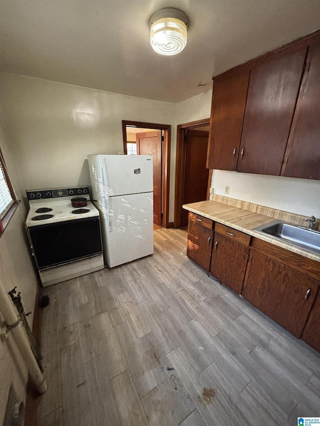 kitchen featuring light wood-type flooring, white appliances, sink, and dark brown cabinetry