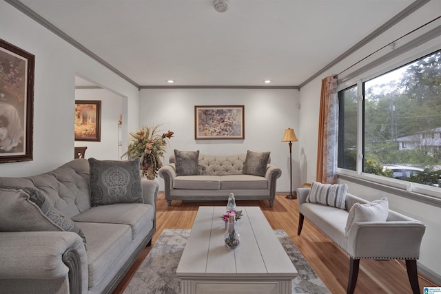 living room featuring crown molding and light wood-type flooring