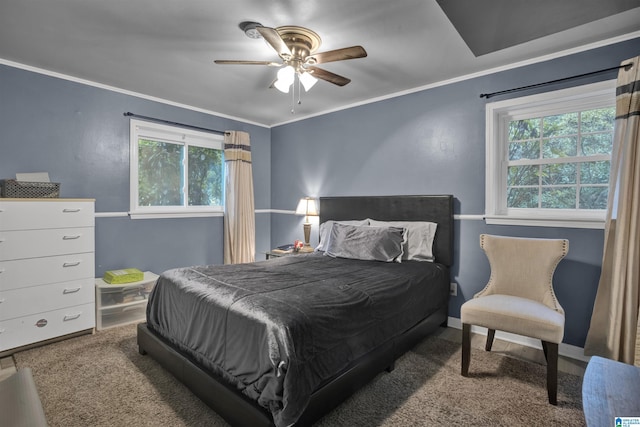 carpeted bedroom with multiple windows, ceiling fan, and ornamental molding