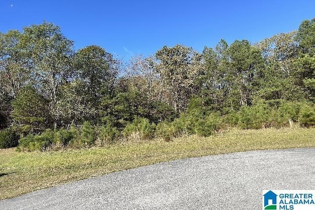 0 Eastland Hills Dr Unit 89, Lincoln AL, 35096 land for sale