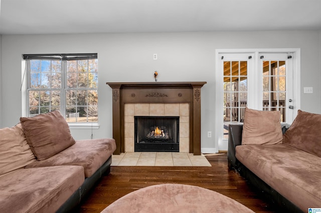 living room with a fireplace, hardwood / wood-style floors, and a healthy amount of sunlight