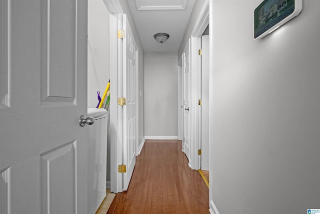 hallway featuring wood-type flooring