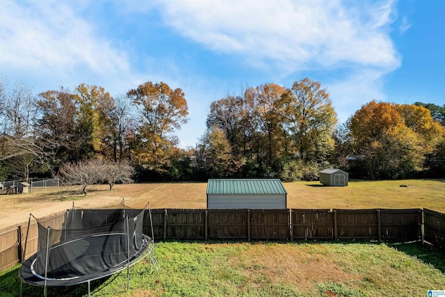 view of yard featuring a storage shed and a trampoline