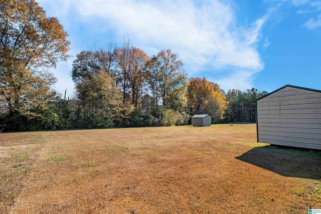 view of yard with a shed