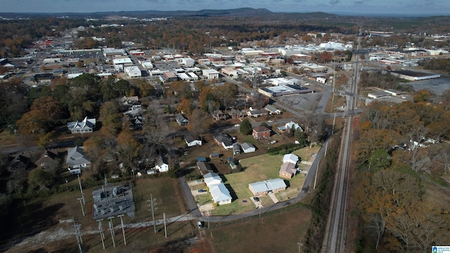 bird's eye view