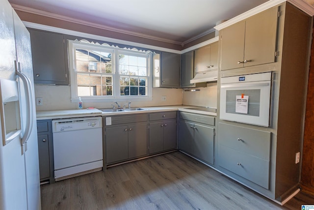 kitchen with gray cabinetry, white appliances, crown molding, sink, and hardwood / wood-style flooring