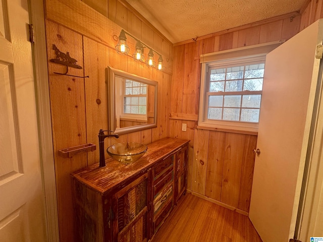 bathroom with wooden walls, plenty of natural light, and hardwood / wood-style flooring