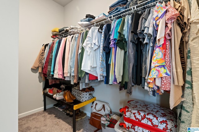 walk in closet with carpet flooring