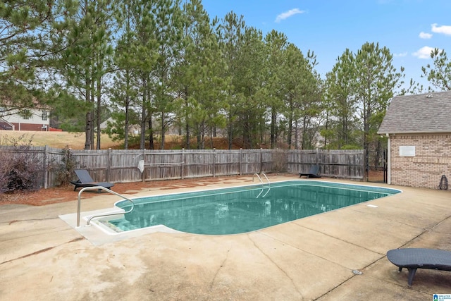 view of swimming pool with a patio