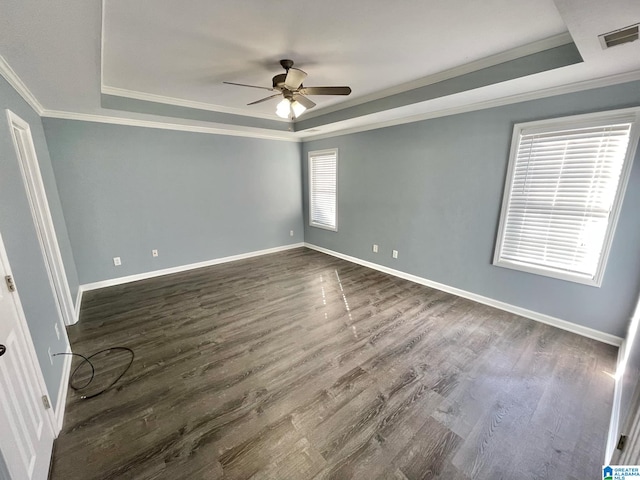 empty room with a raised ceiling, a wealth of natural light, and dark wood-type flooring