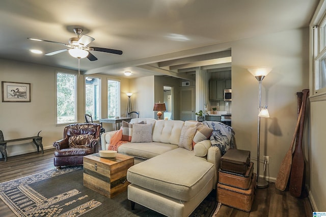 living room with ceiling fan and dark hardwood / wood-style floors