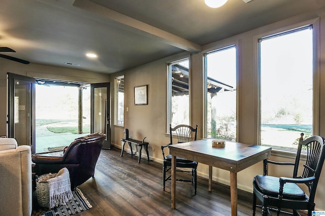 dining area featuring plenty of natural light and dark wood-type flooring