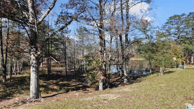 view of yard with a water view