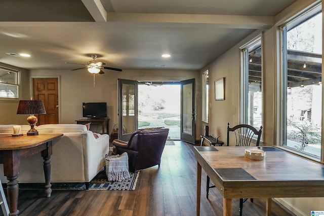 living room with ceiling fan and dark hardwood / wood-style flooring