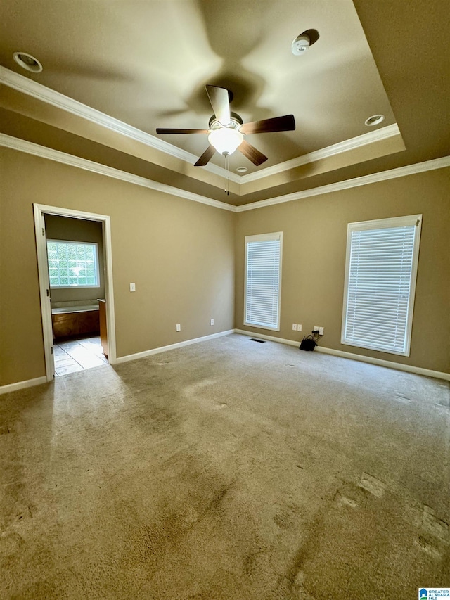 carpeted empty room with ceiling fan, a raised ceiling, and ornamental molding