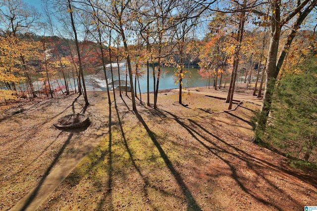 view of yard with a water view