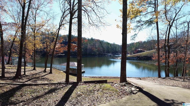 view of water feature